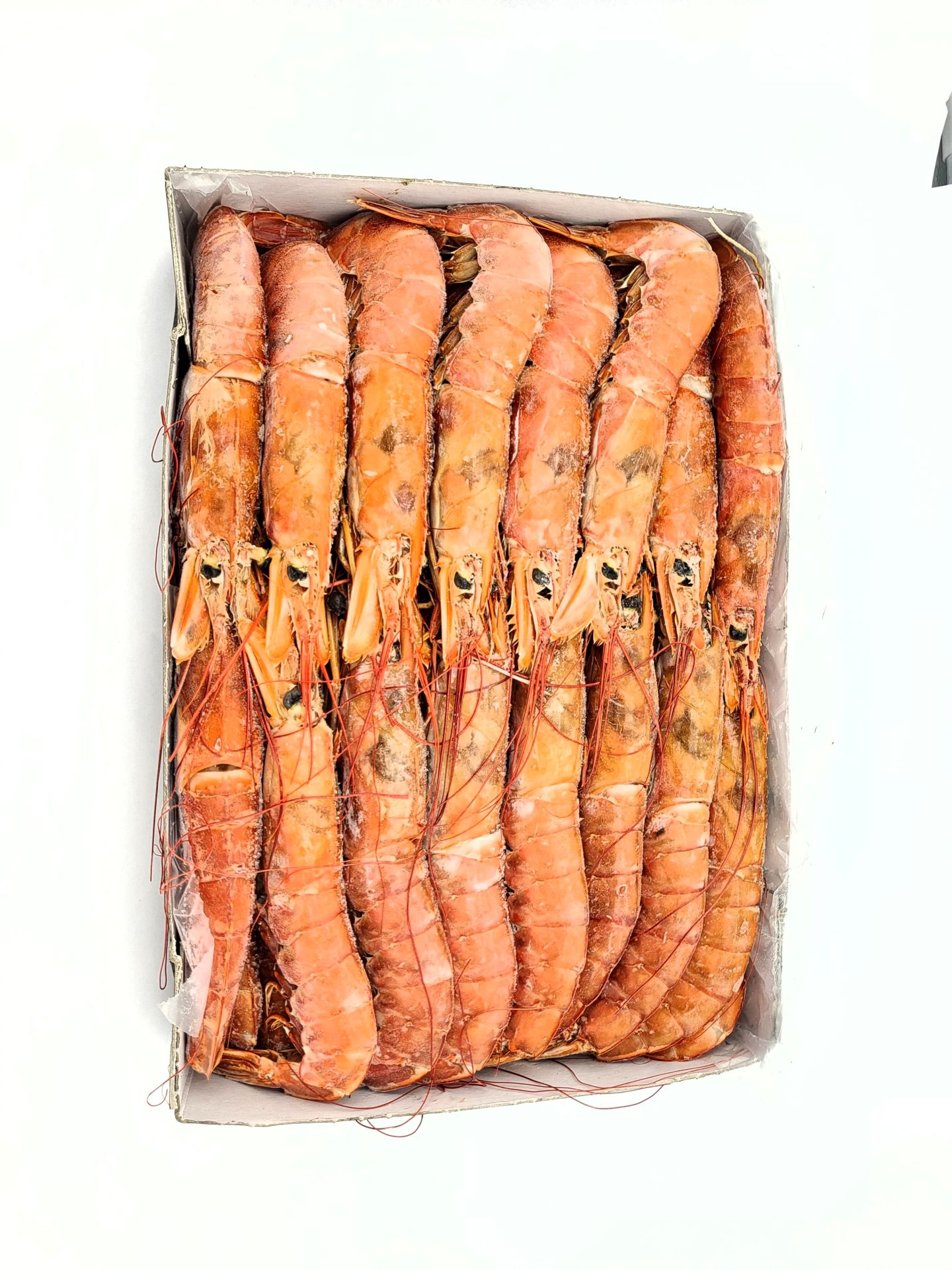 Fischsortiment – Ansicht 2