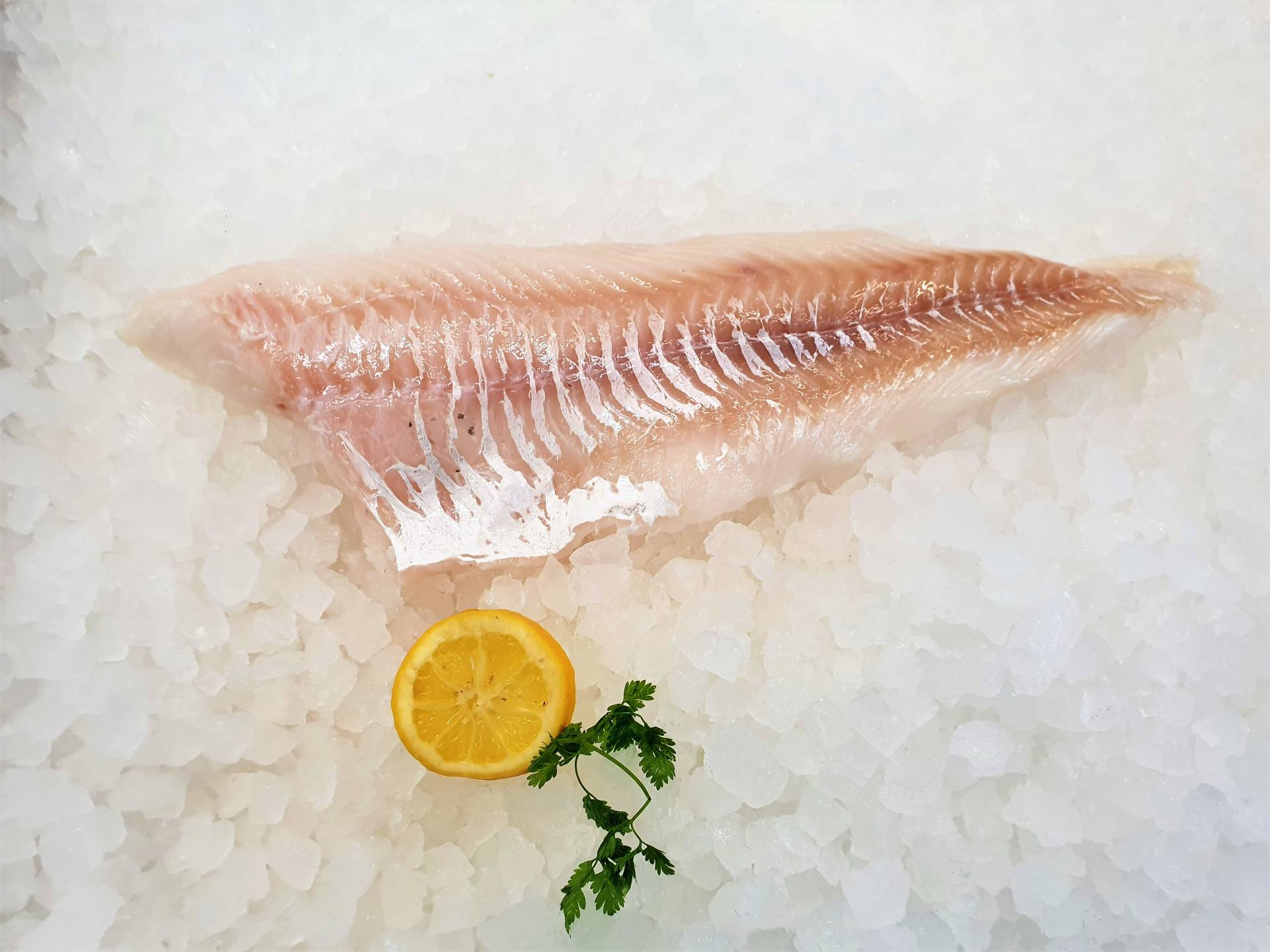 Fischsortiment – Ansicht 14
