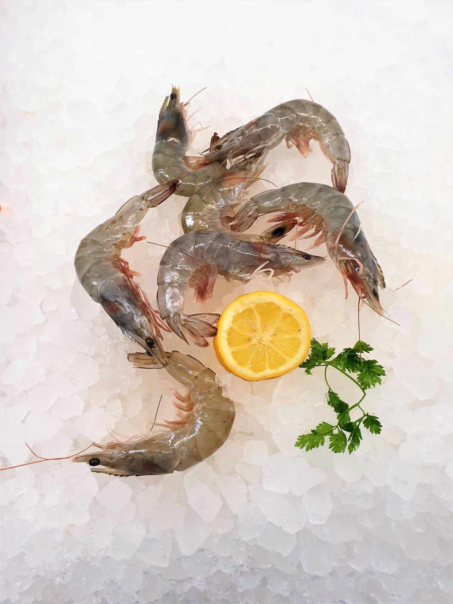 Fischsortiment – Ansicht 15