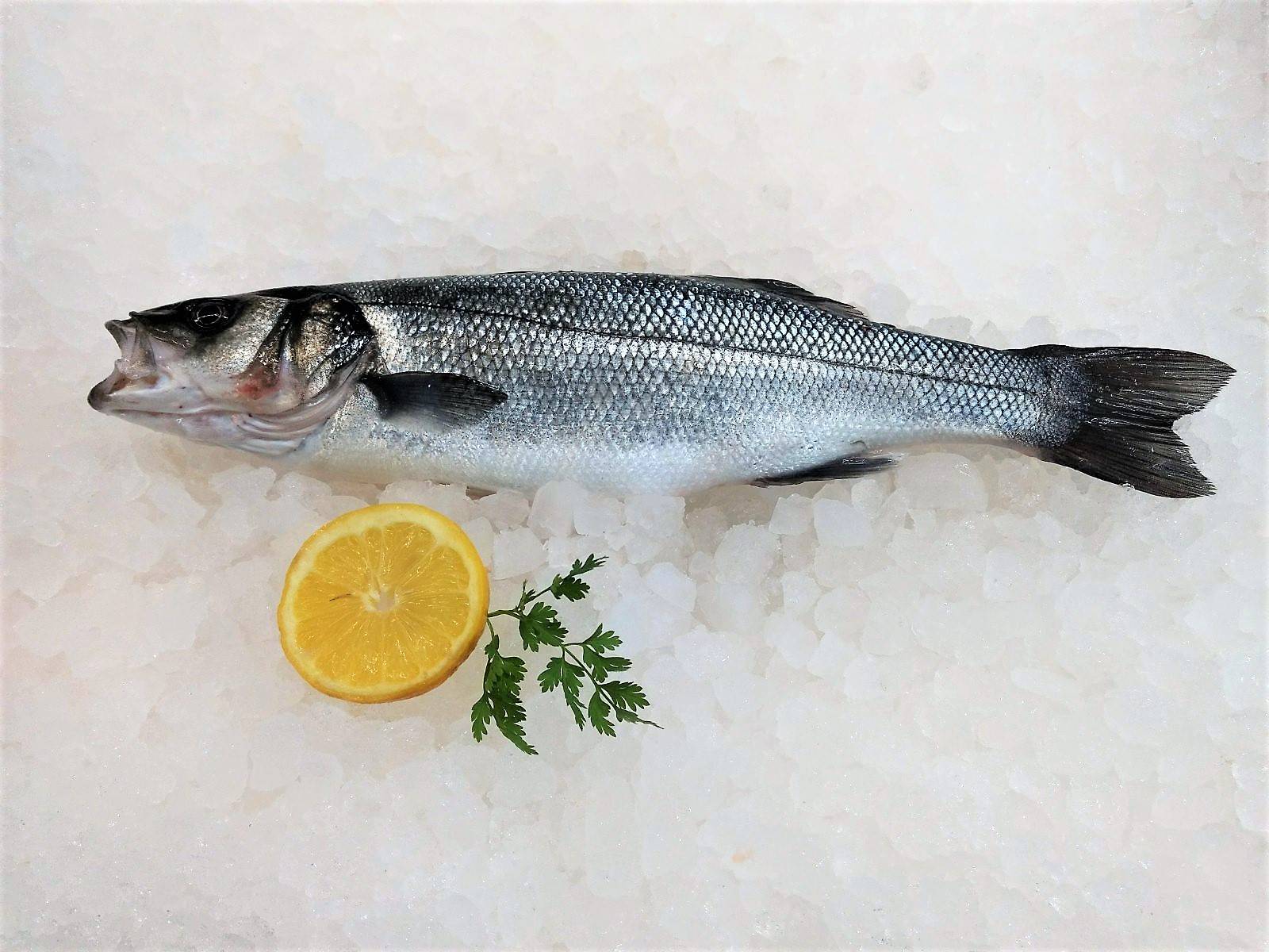 Fischsortiment – Ansicht 17